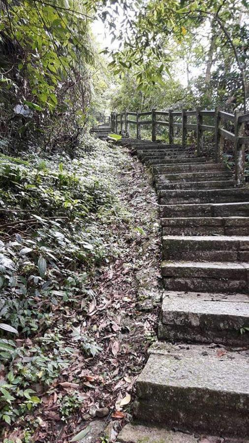 Riley Ming Xuan B&B Meishan Ngoại thất bức ảnh